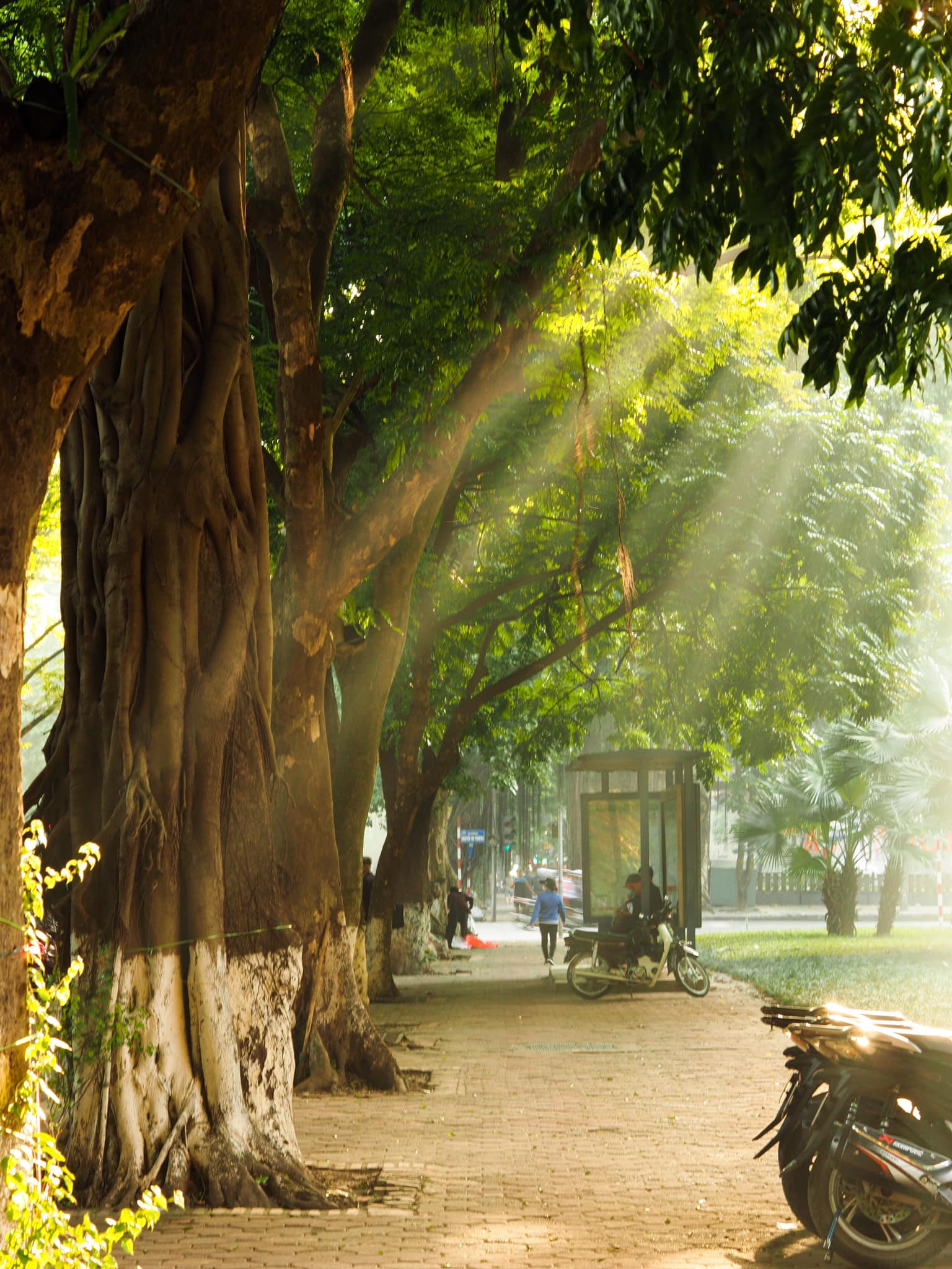 Bán Đất Thổ Cư Tại Sóc Sơn, Hà Nội